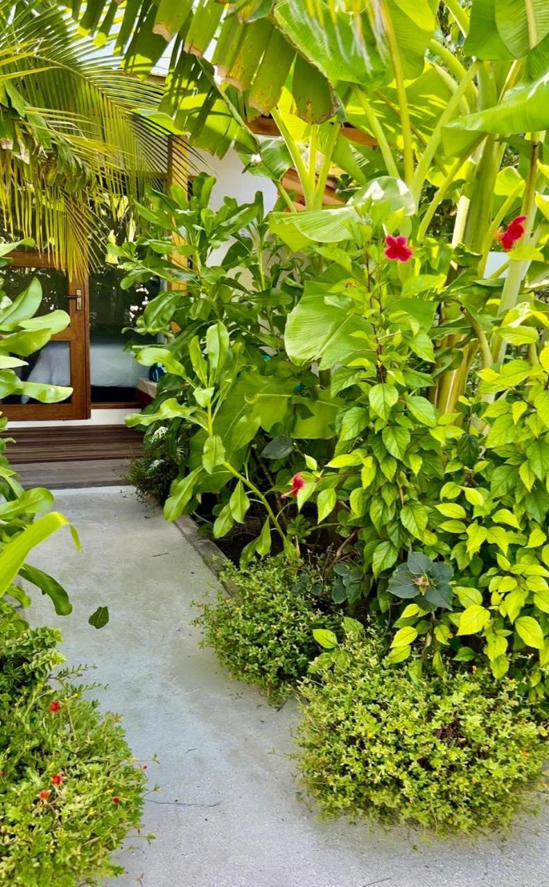 Seaside Dhigurah Hotel Dhigurah  Exterior photo
